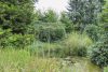 Gemütliches Ferienhaus in idyllischer Waldrandlage von Bassum-Stühren! - Teich